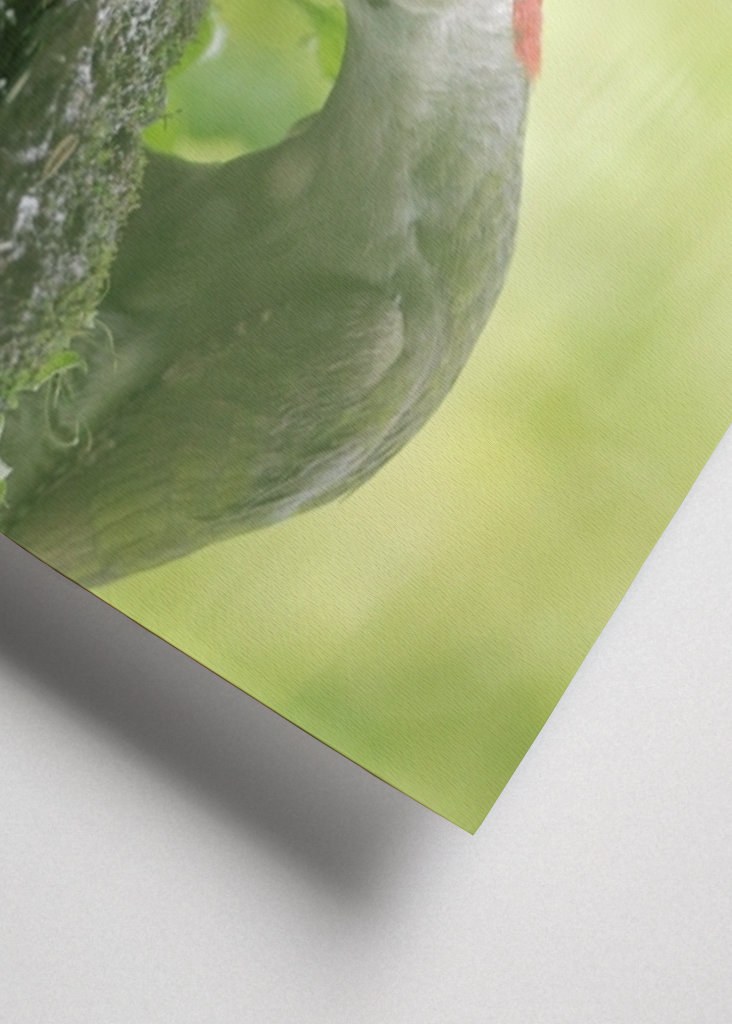 A lélek tükröződése