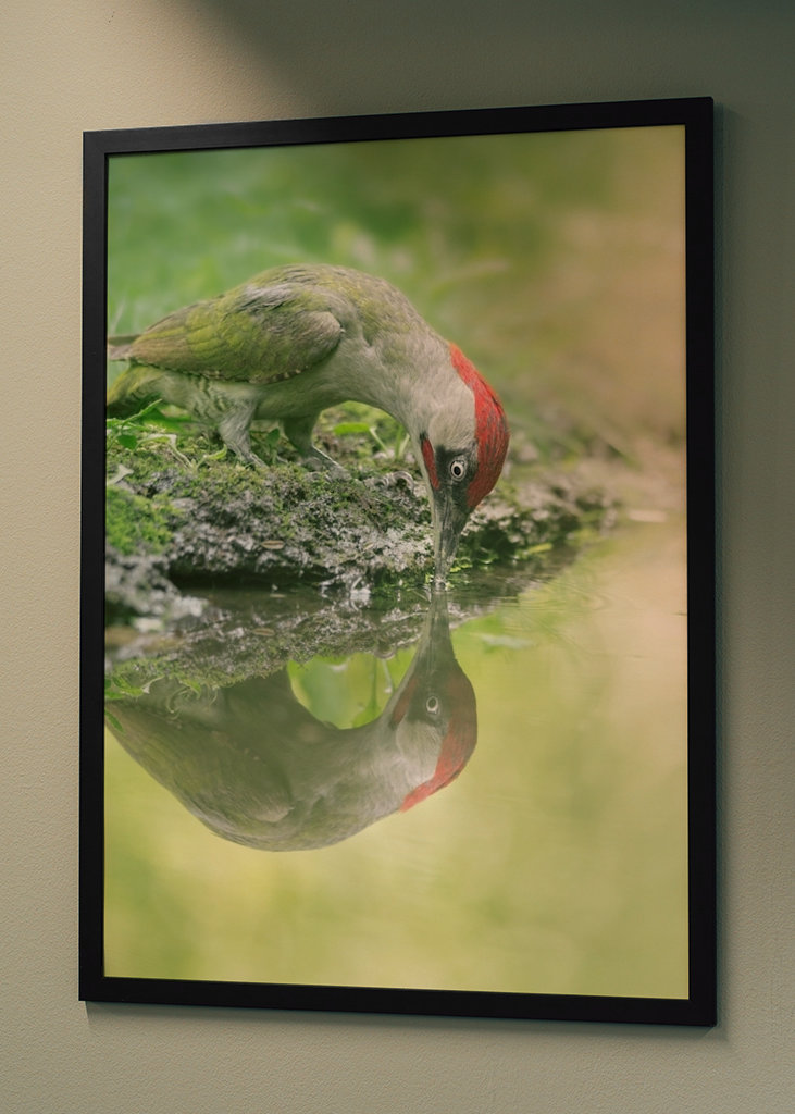 A lélek tükröződése