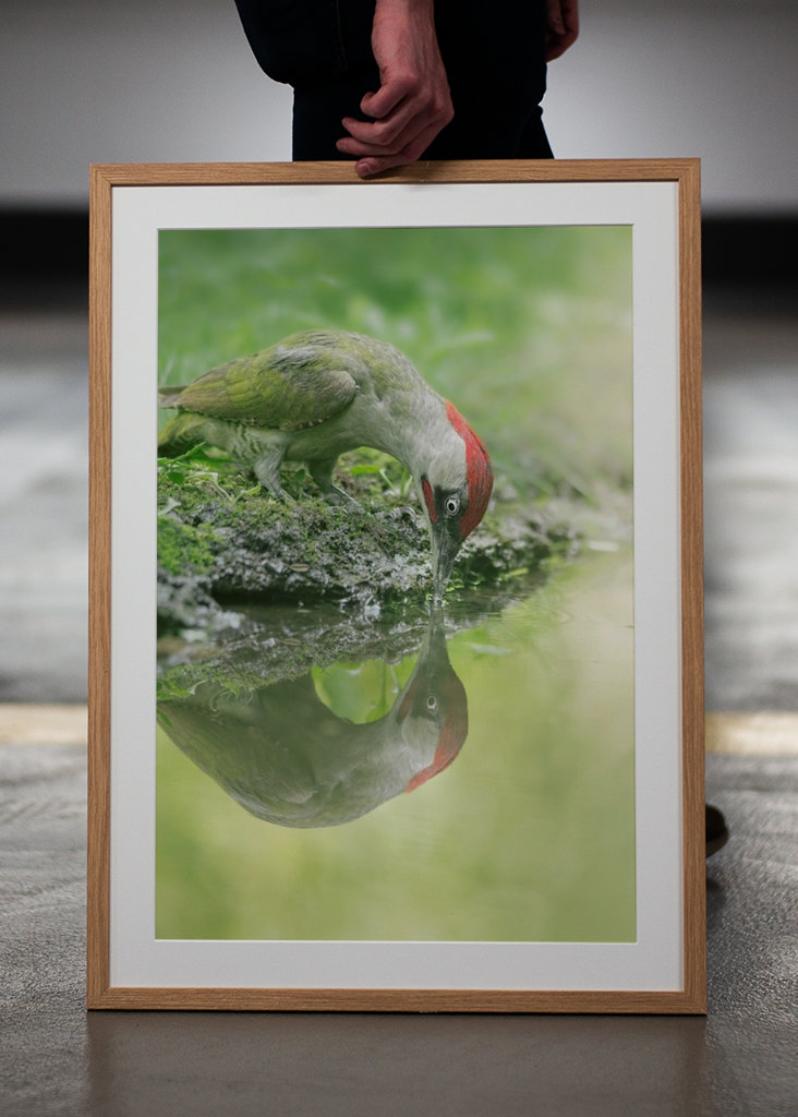 A lélek tükröződése