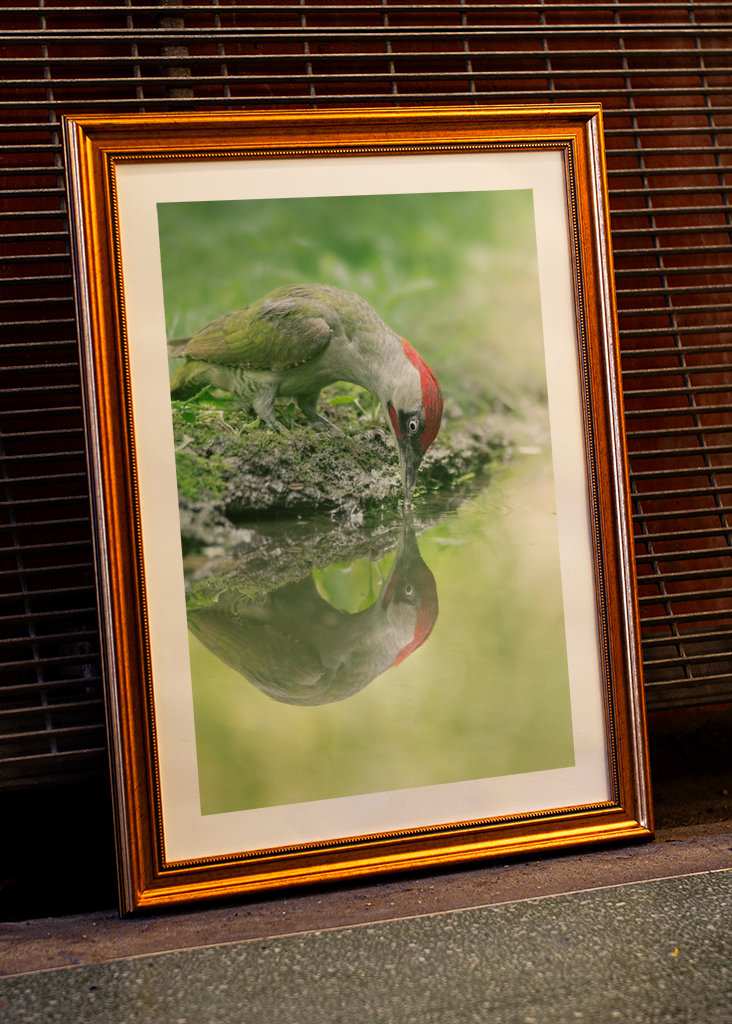 A lélek tükröződése