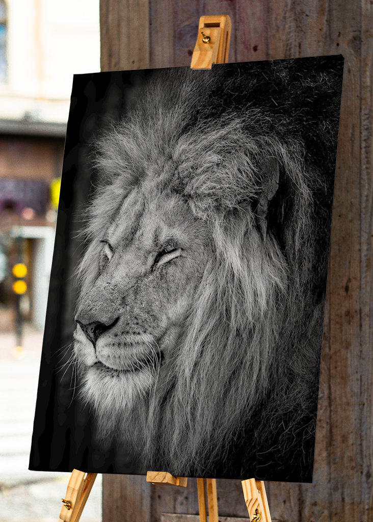 Kongen af zoologisk have