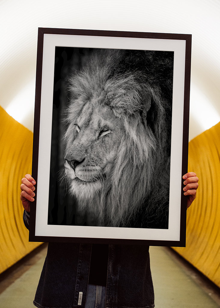 Kongen af zoologisk have