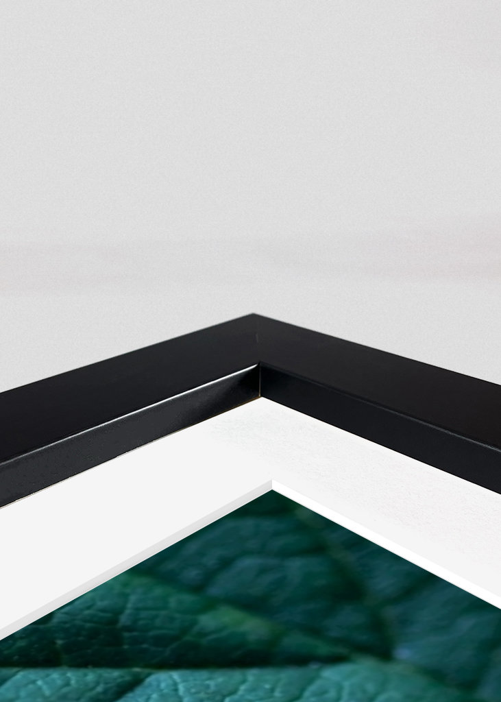 Ladybug in blackberry bush