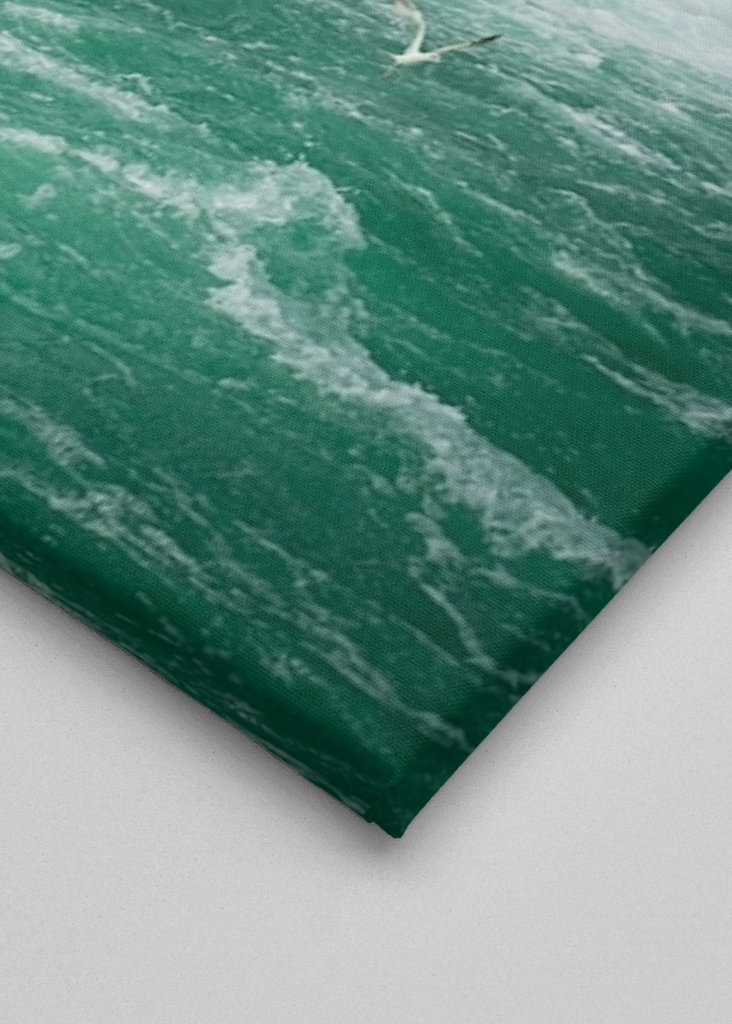 Birds over Niagarafalls