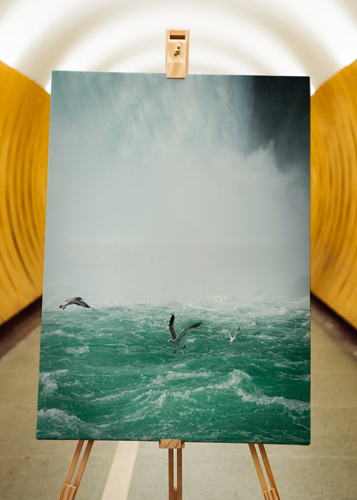 Birds over Niagarafalls