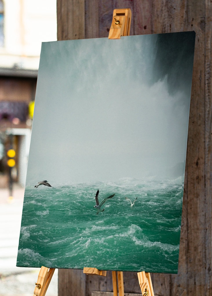 Birds over Niagarafalls