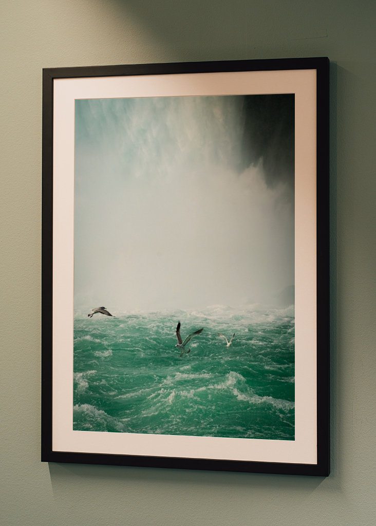 Birds over Niagarafalls