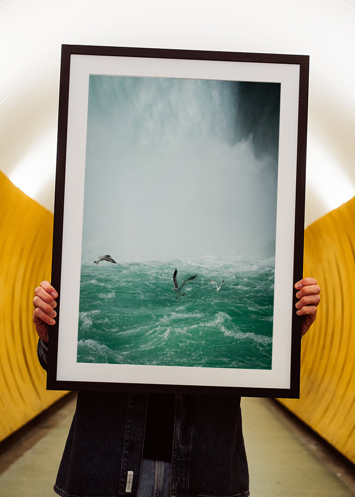 Birds over Niagarafalls