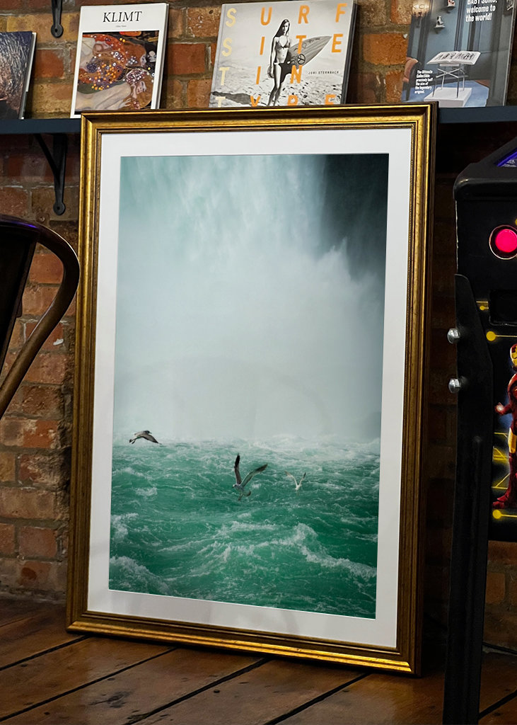 Birds over Niagarafalls