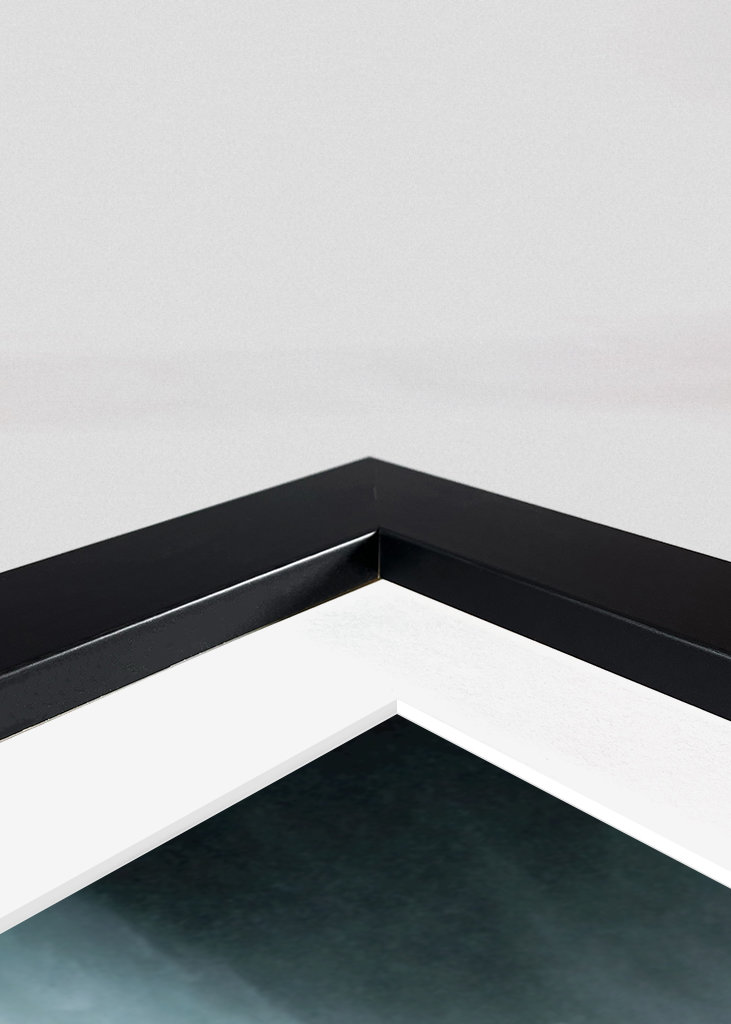 Birds over Niagarafalls