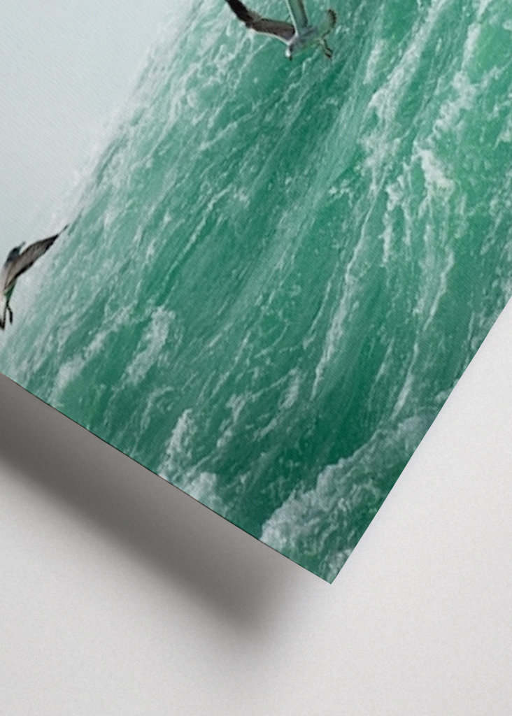 Birds over Niagarafalls