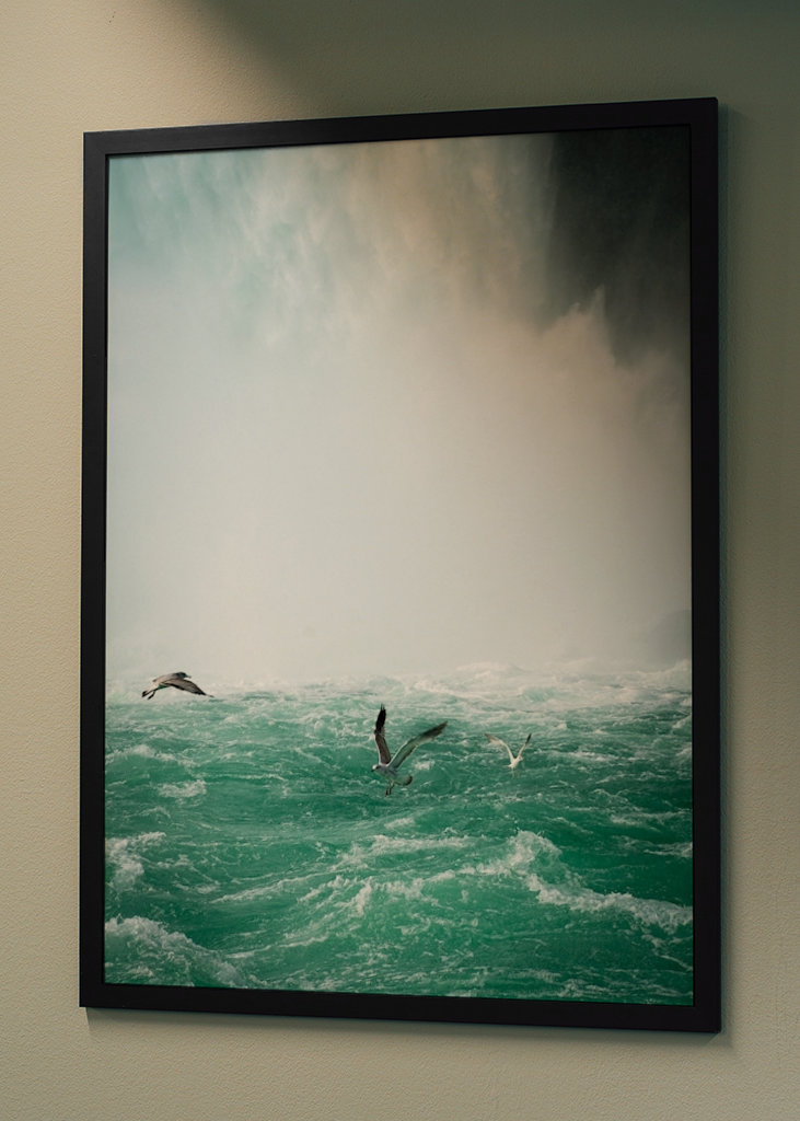 Birds over Niagarafalls