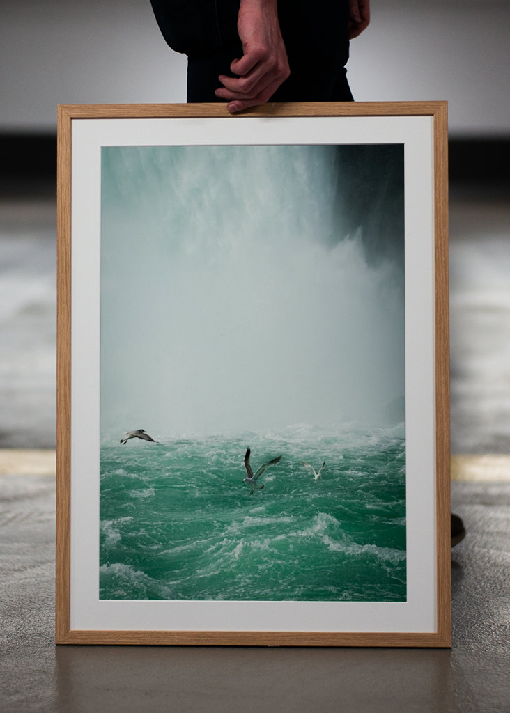 Birds over Niagarafalls