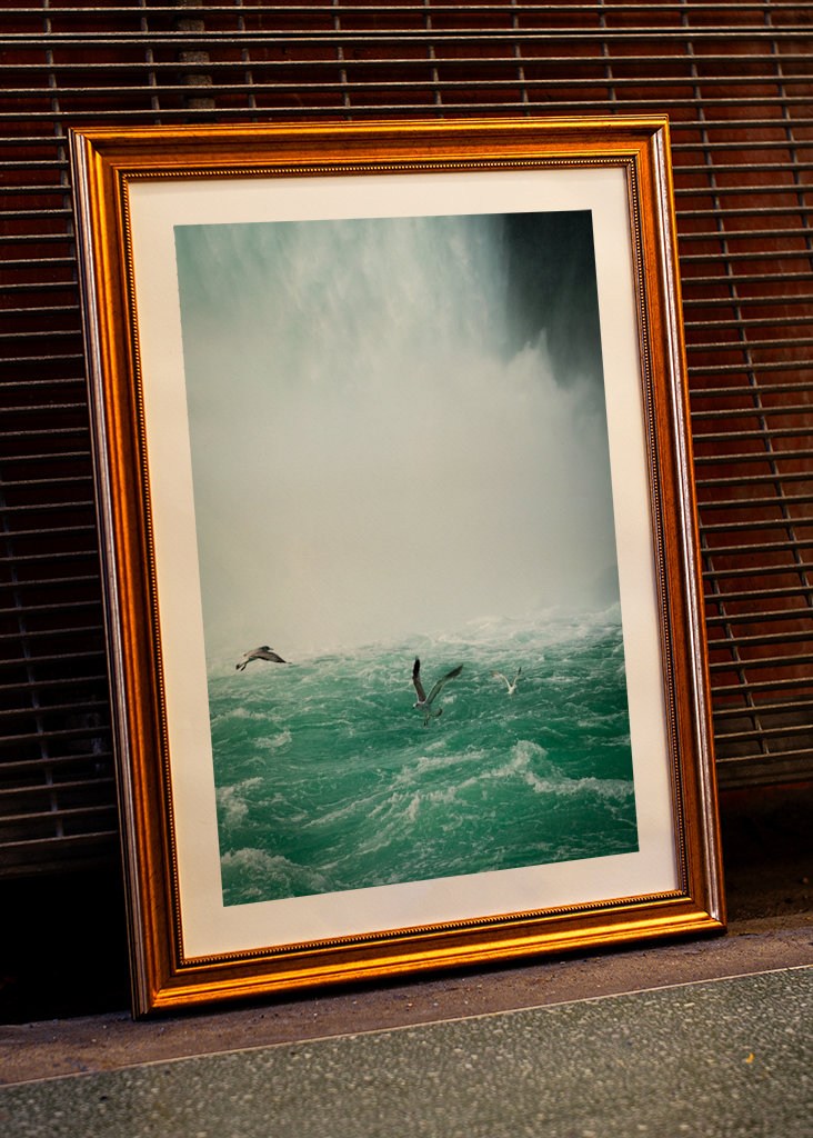 Birds over Niagarafalls