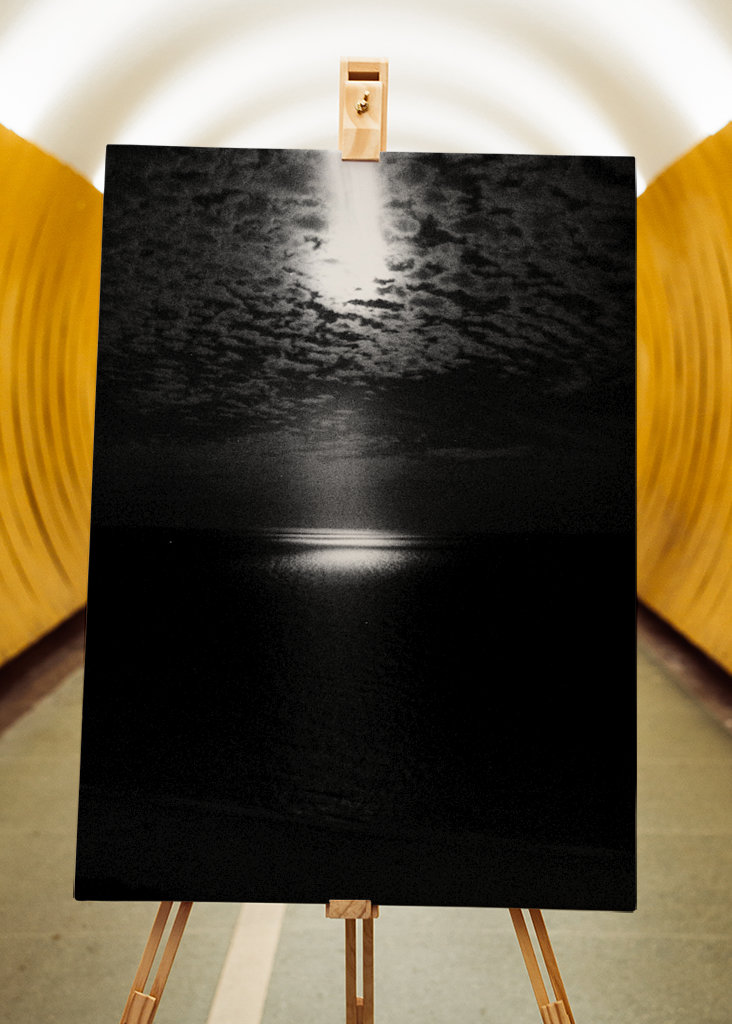 Luz de luna sobre la medianoche de Miami