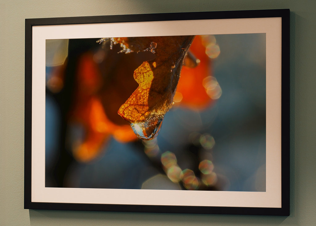 Gota de agua congelada