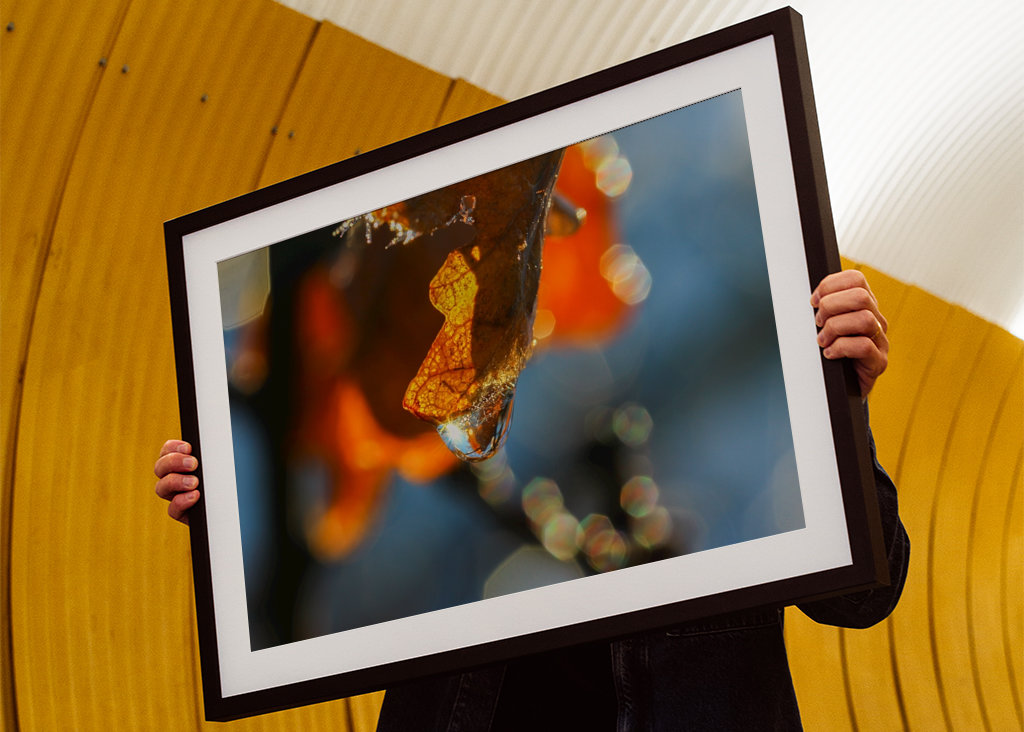 Gota de agua congelada