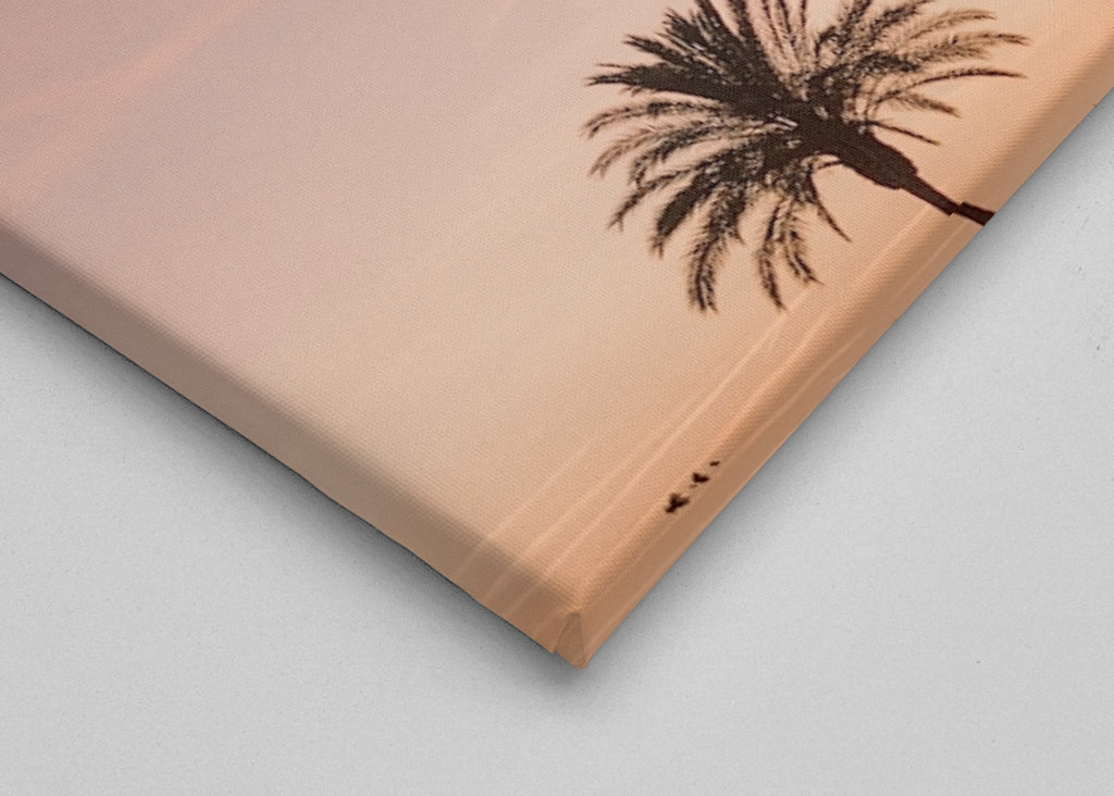 Palmera durante la puesta de sol rosa