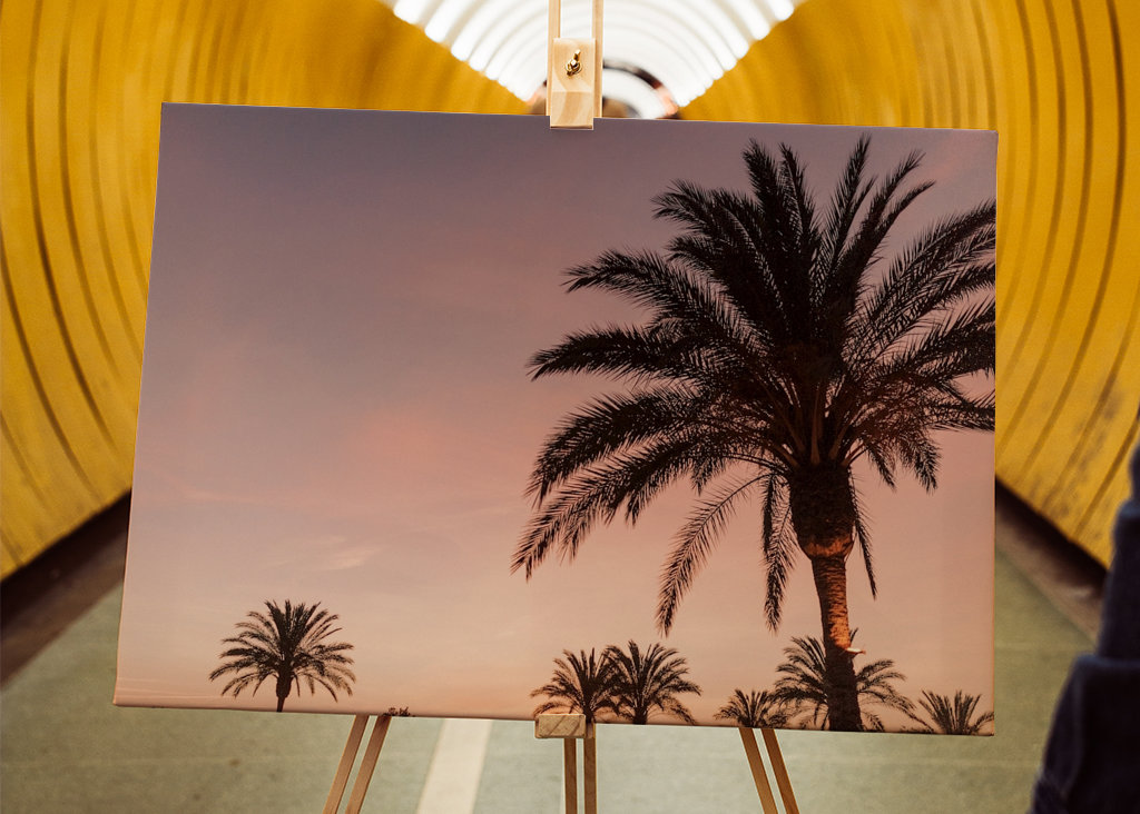 Palmera durante la puesta de sol rosa