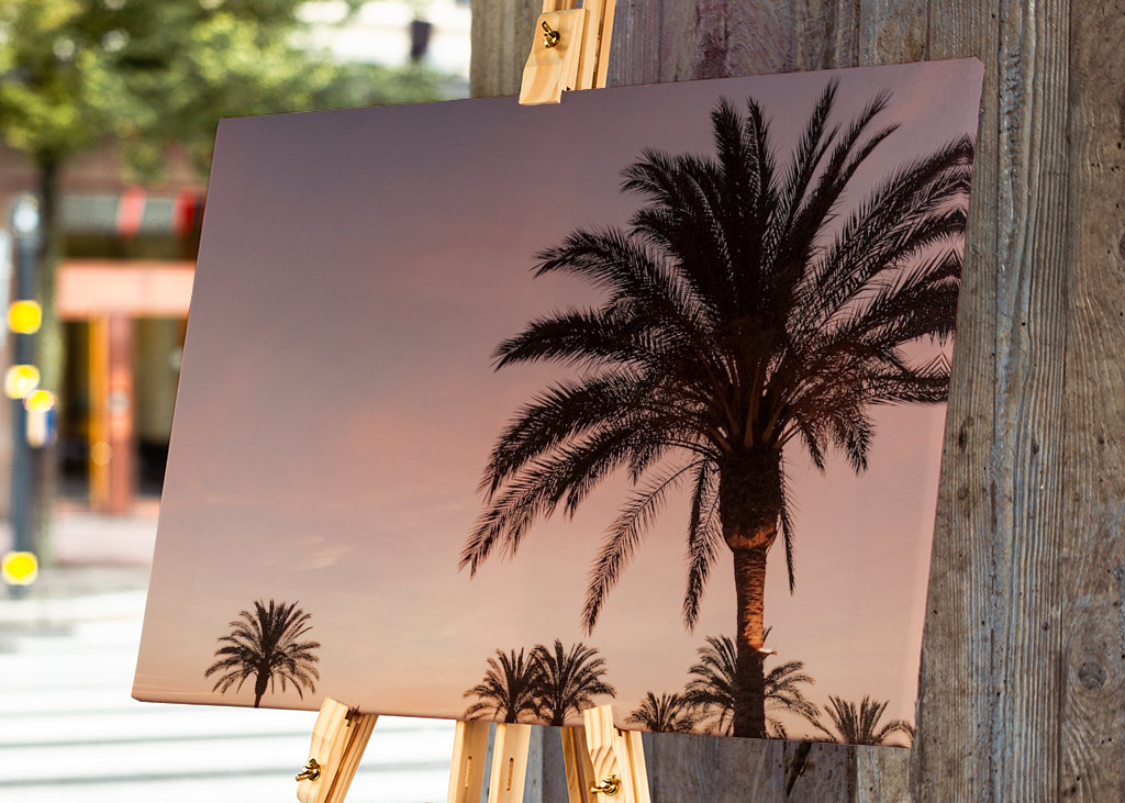 Palmera durante la puesta de sol rosa