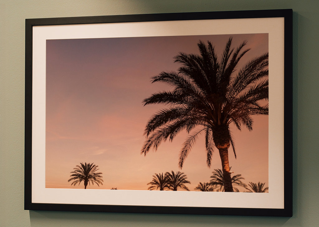 Palmera durante la puesta de sol rosa