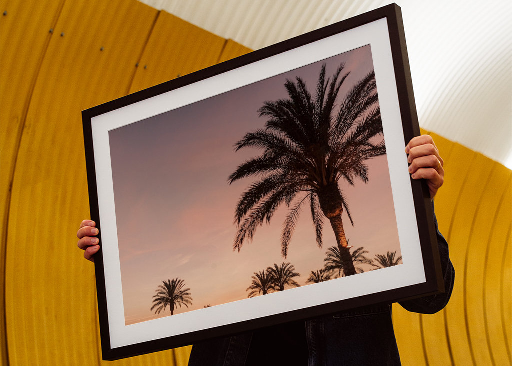 Palmera durante la puesta de sol rosa
