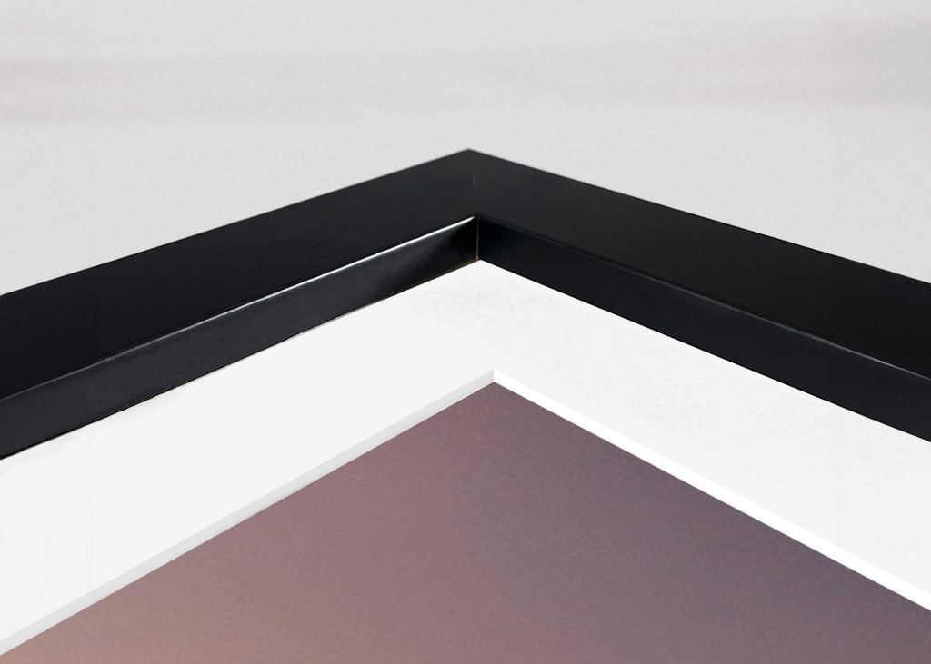 Palmera durante la puesta de sol rosa