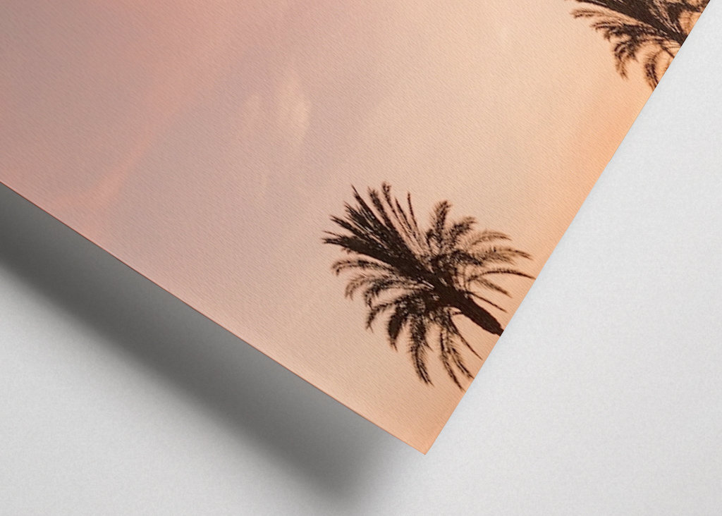 Palmera durante la puesta de sol rosa