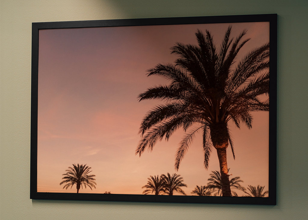 Palmera durante la puesta de sol rosa