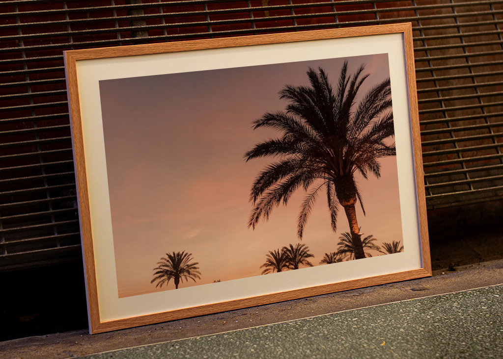 Palmera durante la puesta de sol rosa