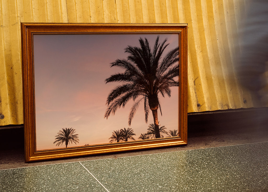 Palmera durante la puesta de sol rosa