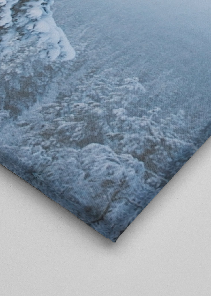 Stimmungsvoller Nachmittag 