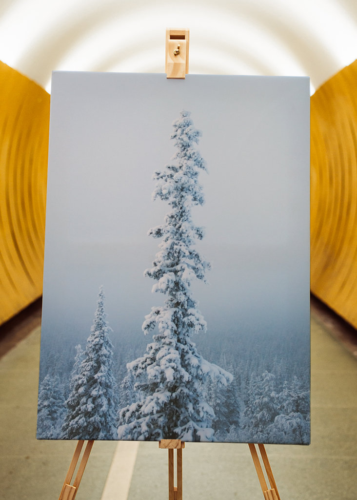 Stimmungsvoller Nachmittag 