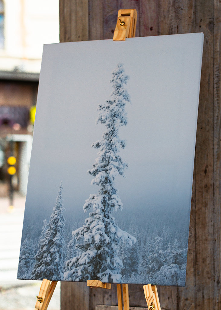 Stimmungsvoller Nachmittag 