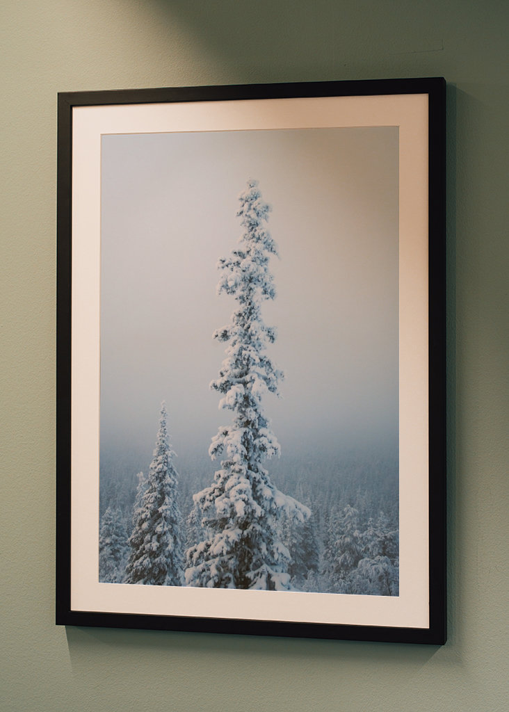 Stimmungsvoller Nachmittag 