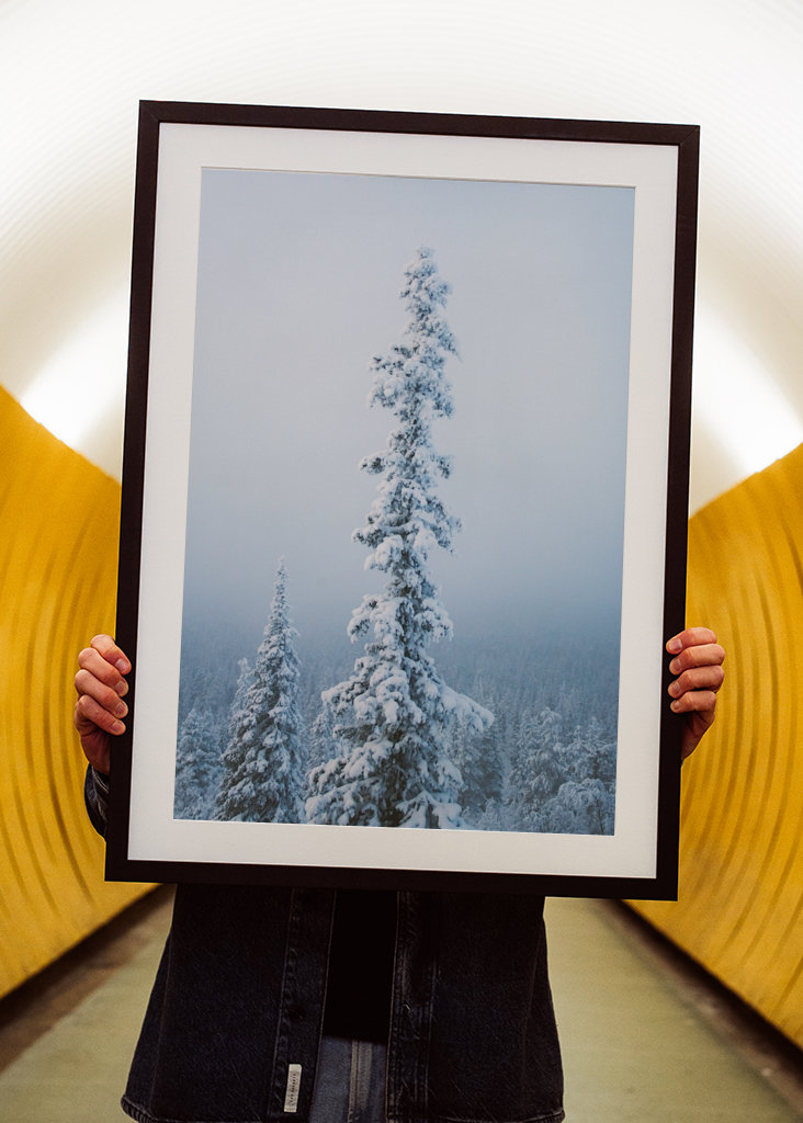 Stimmungsvoller Nachmittag 