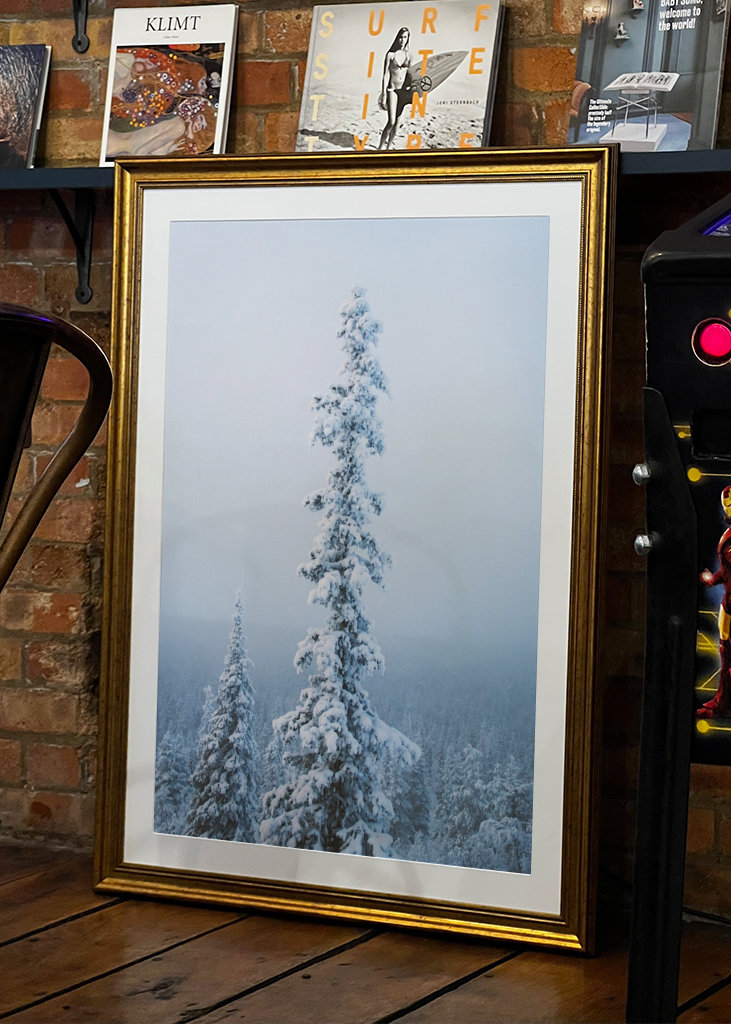 Stimmungsvoller Nachmittag 