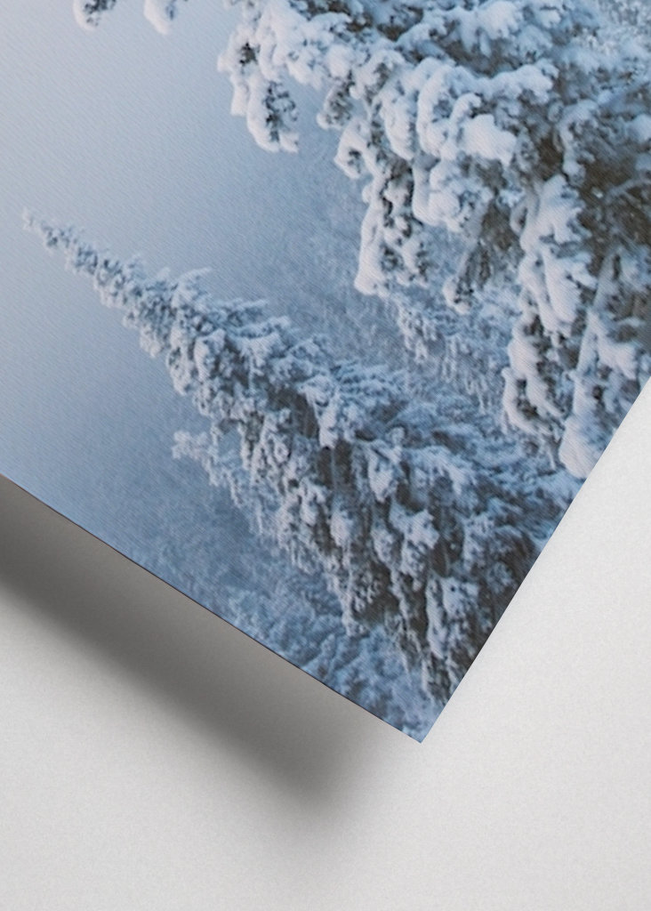 Stimmungsvoller Nachmittag 