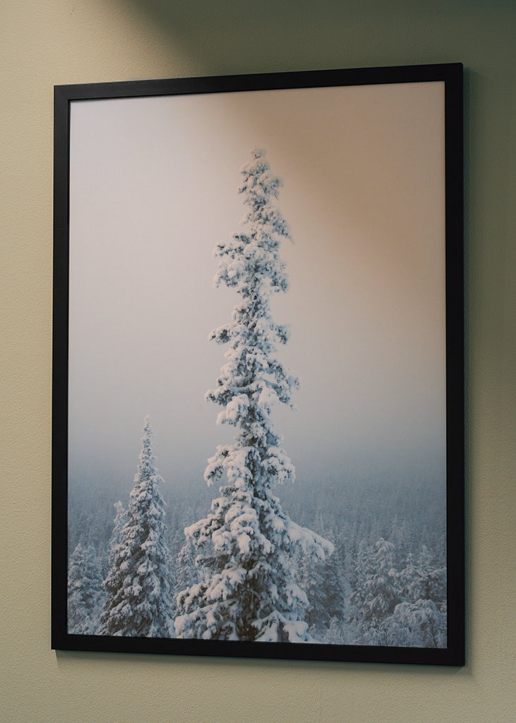 Stimmungsvoller Nachmittag 