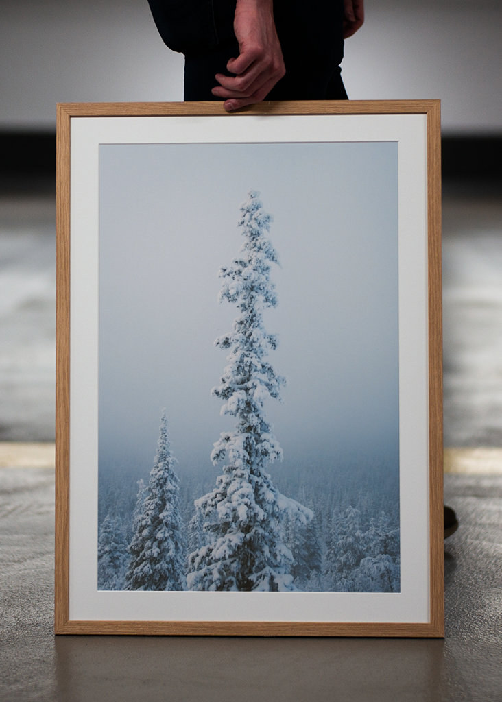 Stimmungsvoller Nachmittag 