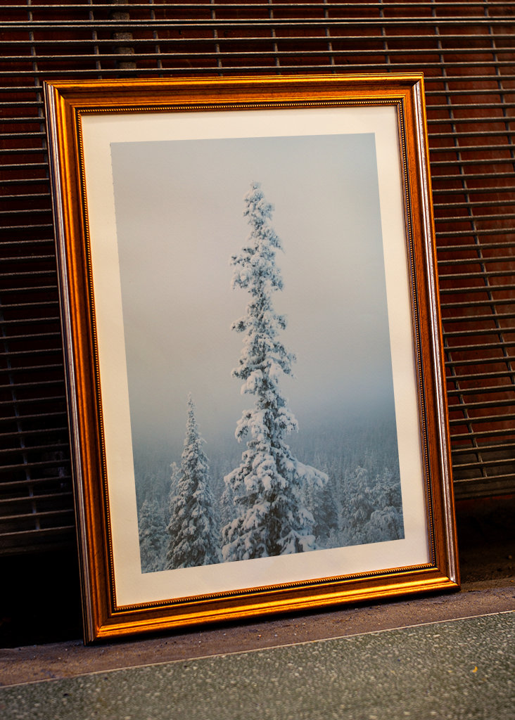 Stimmungsvoller Nachmittag 