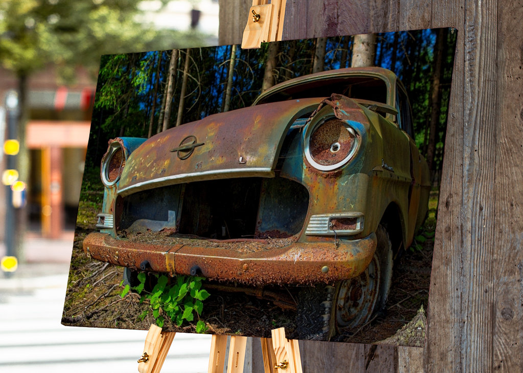 Opel im Wald entsorgt