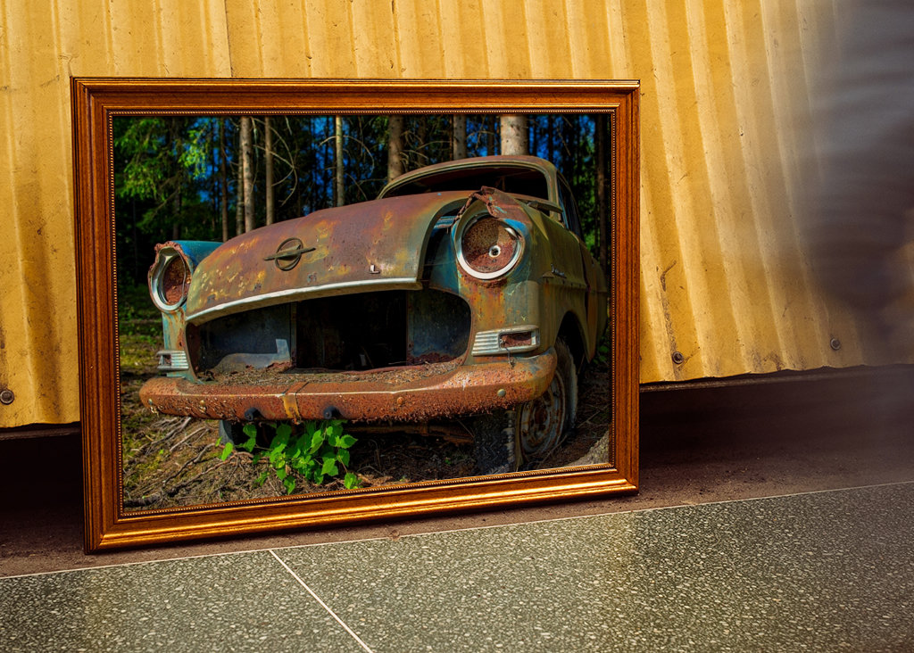 Opel im Wald entsorgt