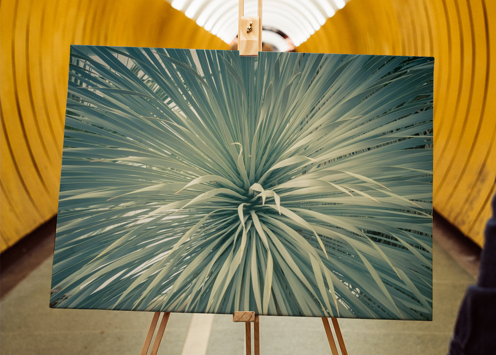 Feuerwerk der Blätter