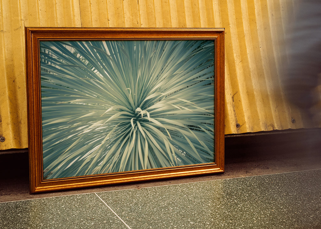 Feuerwerk der Blätter