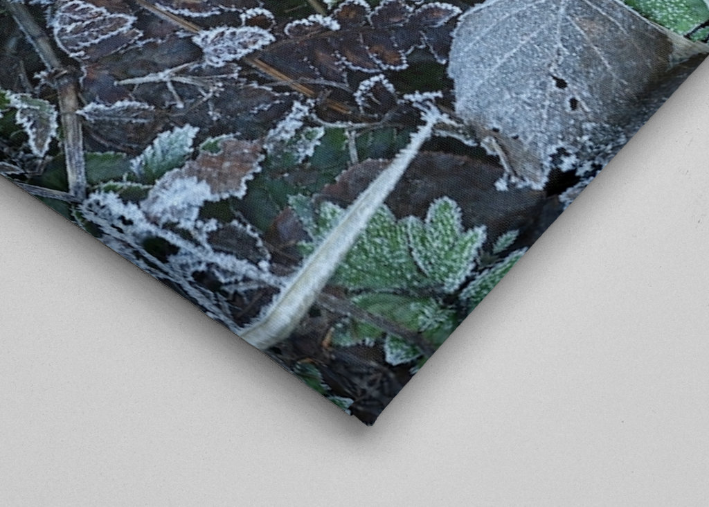 Frosty leafs