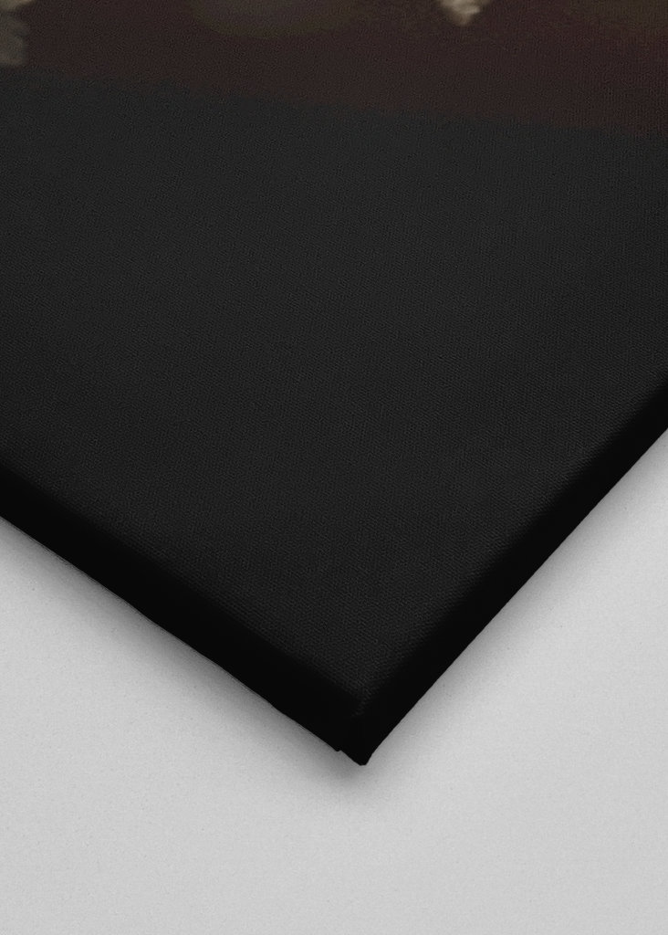 Leafs in the colors of atumn