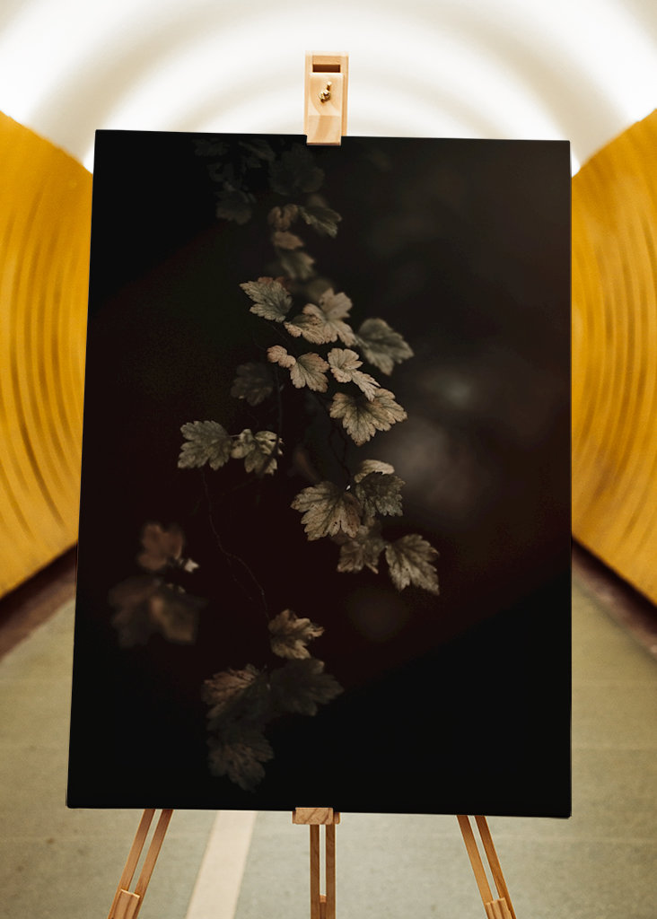 Leafs in the colors of atumn