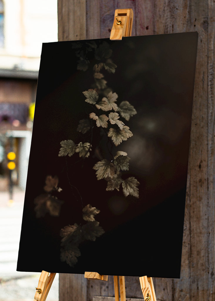 Leafs in the colors of atumn