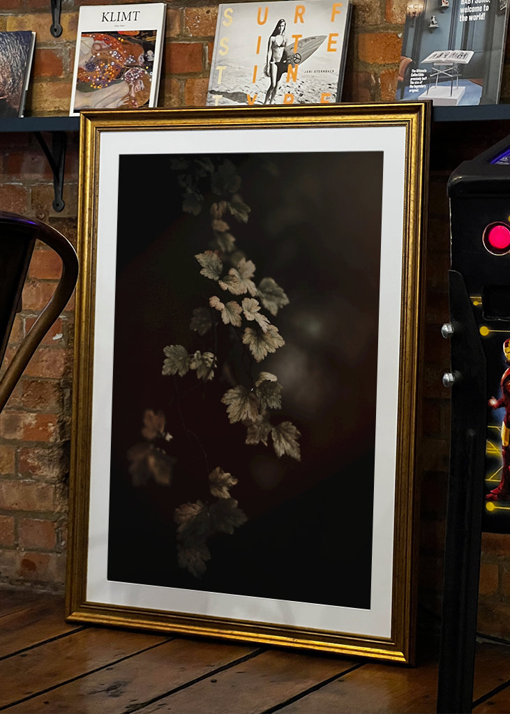 Leafs in the colors of atumn